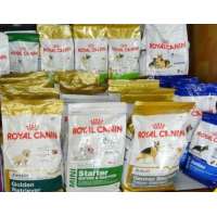 A Grade Royal Canin Dog Food